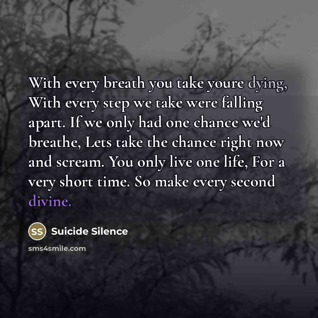 “With every breath you take youre dying, With every step…” quote by Suicide Silence