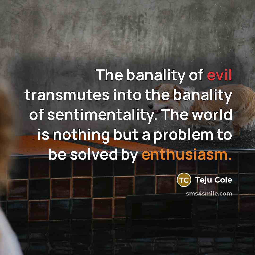 “The banality of evil transmutes into the banality of sentimentality.…” quote by Teju Cole