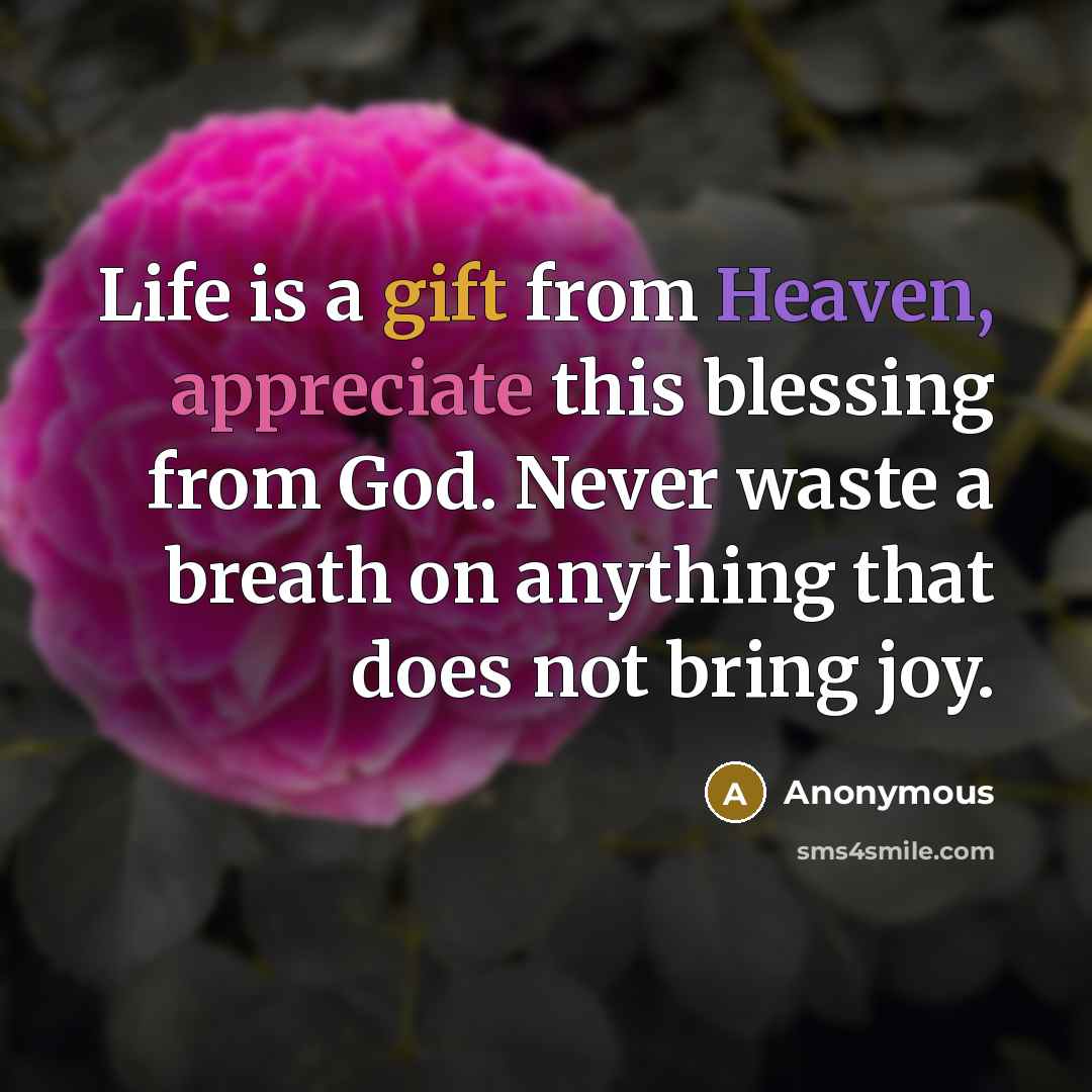 “Life is a gift from Heaven, appreciate this blessing from God. Never waste a breath on anything that does not bring joy.” quote by Anonymous