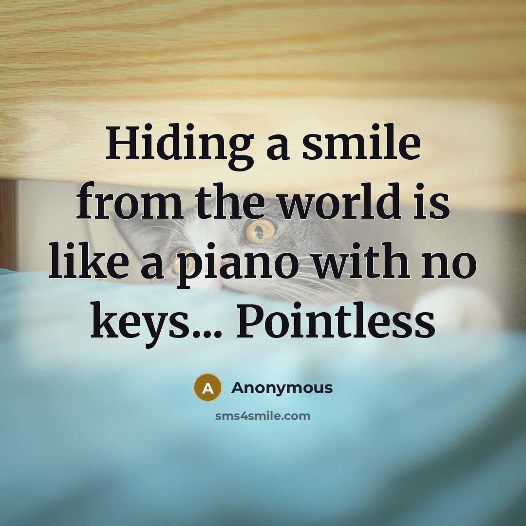 “Hiding a smile from the world is like a piano with no keys... Pointless” quote by Anonymous