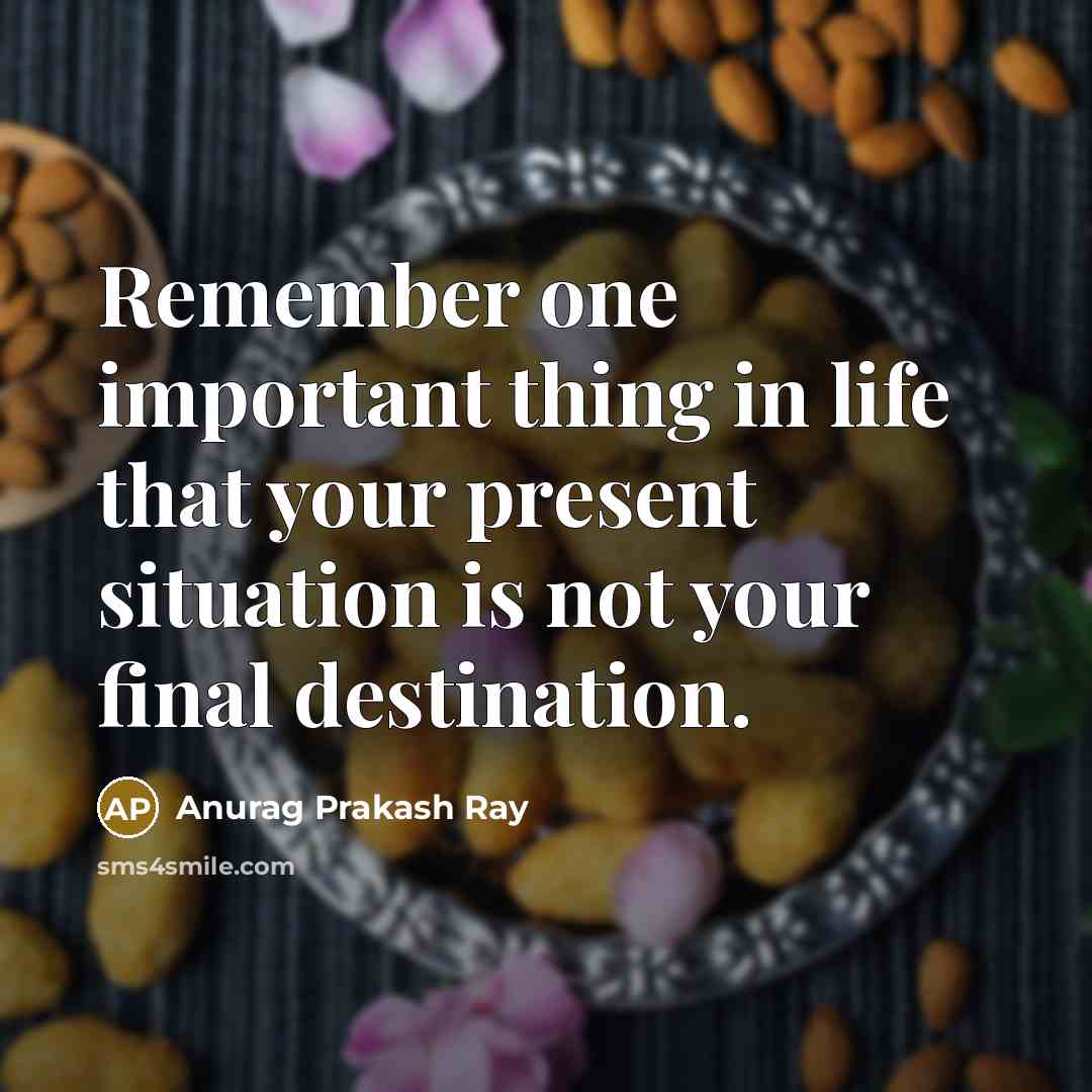 “Remember one important thing in life that your present situation…” quote by Anurag Prakash Ray