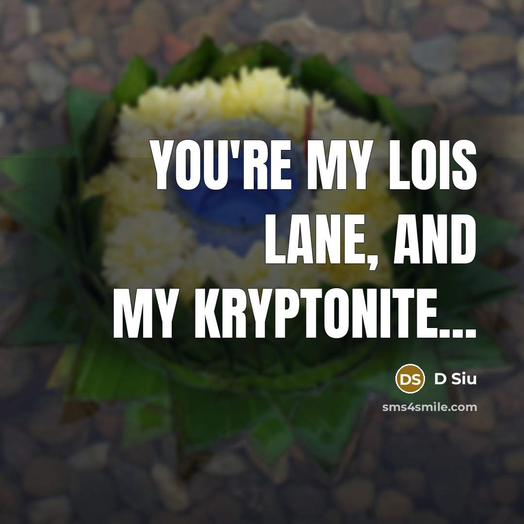 “You're my Lois Lane, and my kryptonite...” quote by D Siu