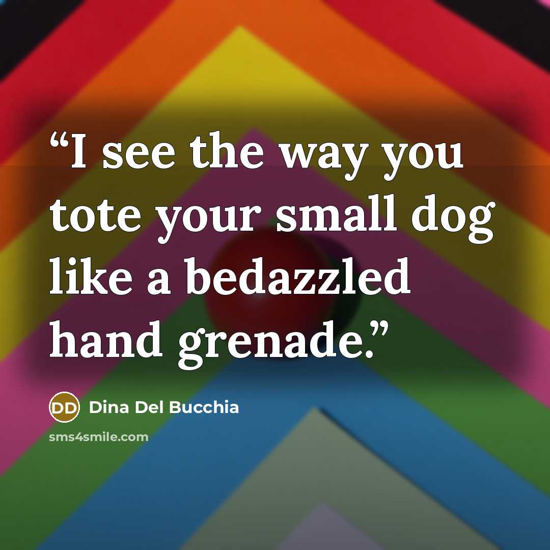 “I see the way you tote your small dog like a bedazzled hand grenade.” quote by Dina Del Bucchia