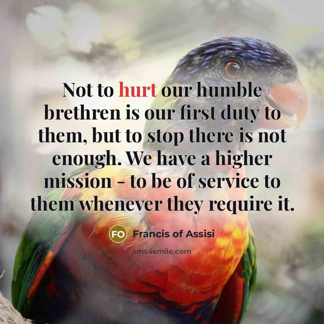 “Not to hurt our humble brethren is our first duty…” quote by Francis of Assisi