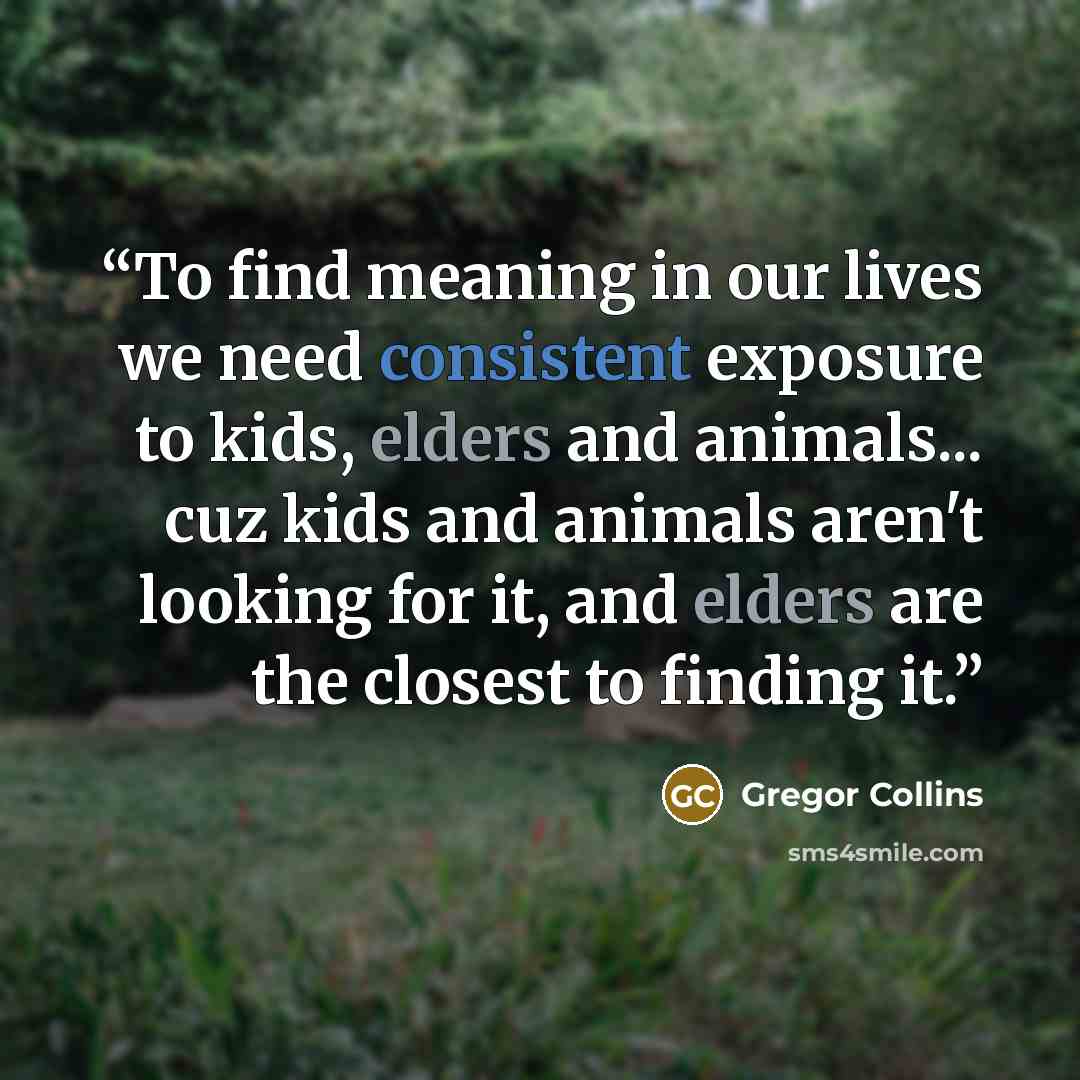 “To find meaning in our lives we need consistent exposure to kids, elders and animals... cuz kids and animals aren't looking for it, and elders are the closest to finding it.” quote by Gregor Collins