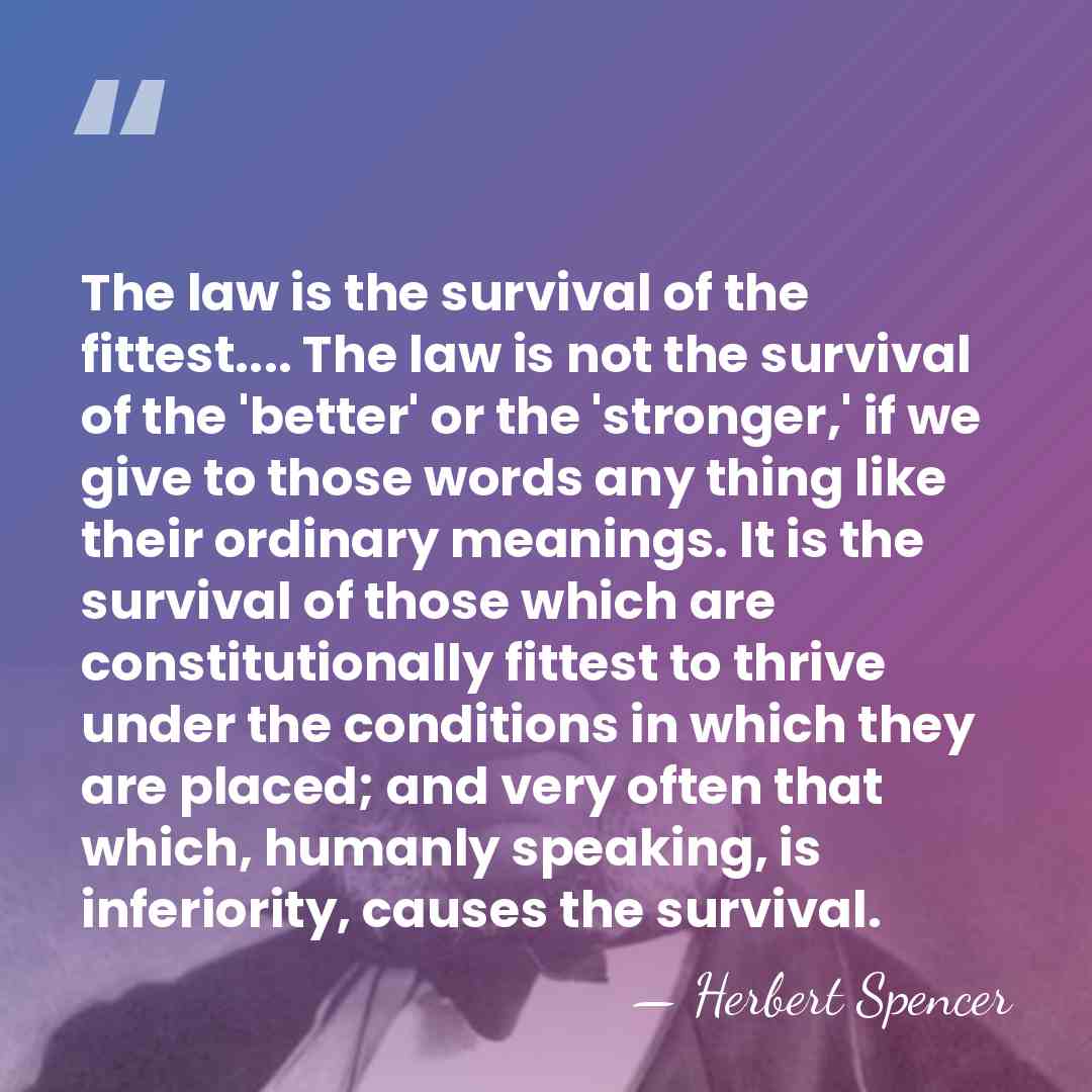 The law is the survival of the fittest.... The law is not&hellip; - Herbert Spencer