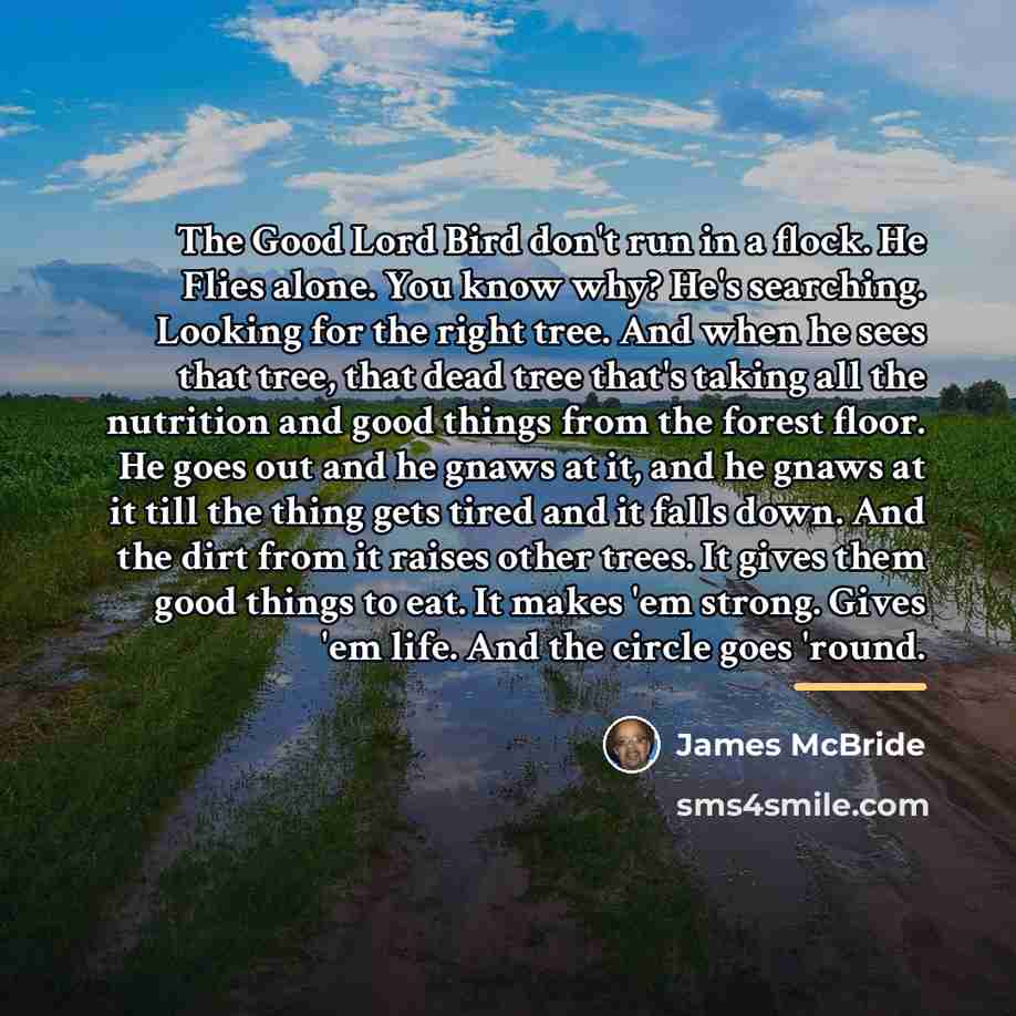 “The Good Lord Bird don't run in a flock. He…” quote by James McBride