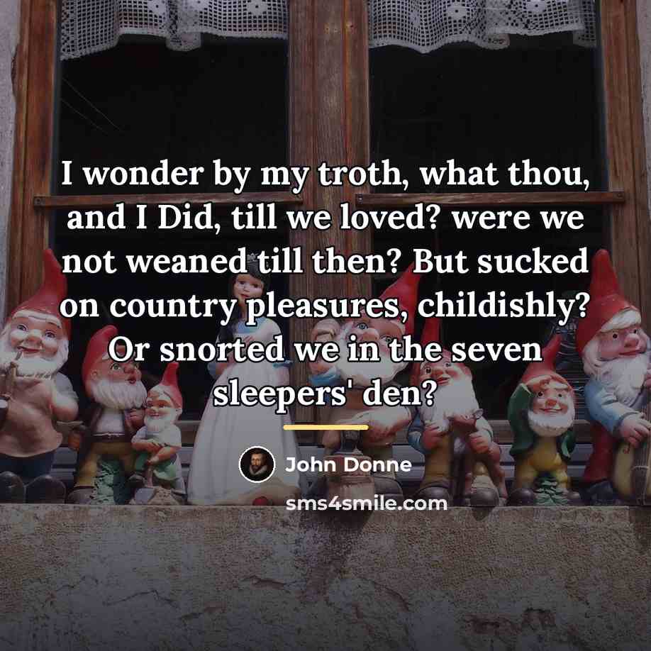 “I wonder by my troth, what thou, and I Did,…” quote by John Donne