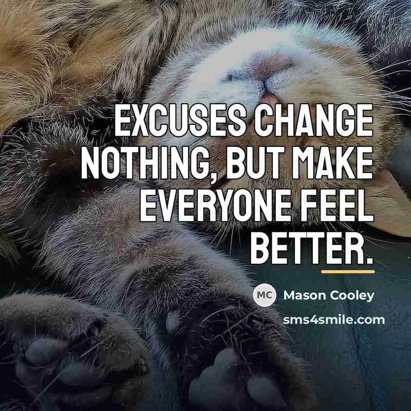 “Excuses change nothing, but make everyone feel better.…” quote by Mason Cooley