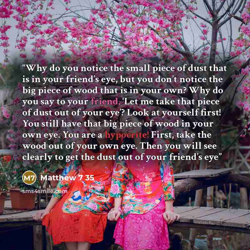 “Why do you notice the small piece of dust that is in your friend’s eye, but you don’t notice the big piece of wood that is in your own? Why do you say to your friend, ‘Let me take that piece of dust out of your eye’? Look at yourself first! You still have that big piece of wood in your own eye…” quote by Matthew 7 35