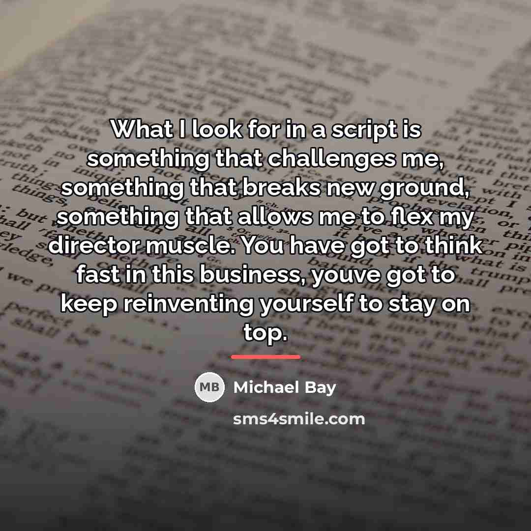 “What I look for in a script is something that…” quote by Michael Bay
