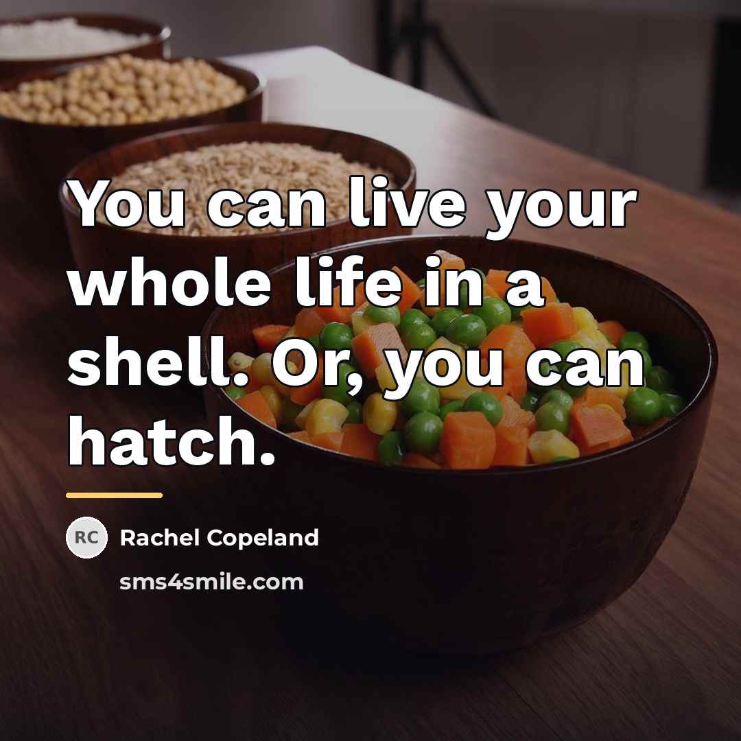 “You can live your whole life in a shell. Or,…” quote by Rachel Copeland