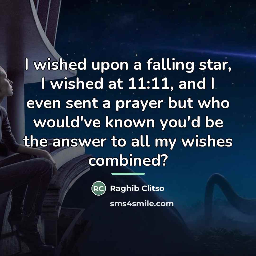 “I wished upon a falling star, I wished at 11:11,…” quote by Raghib Clitso