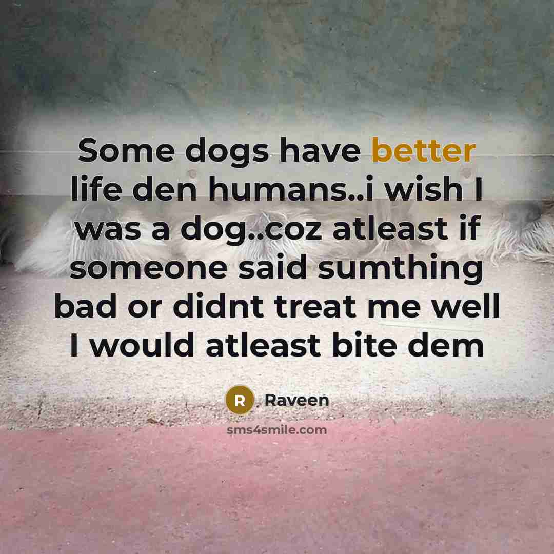 “Some dogs have better life den humans..i wish I was a dog..coz atleast if someone said sumthing bad or didnt treat me well I would atleast bite dem” quote by Raveen