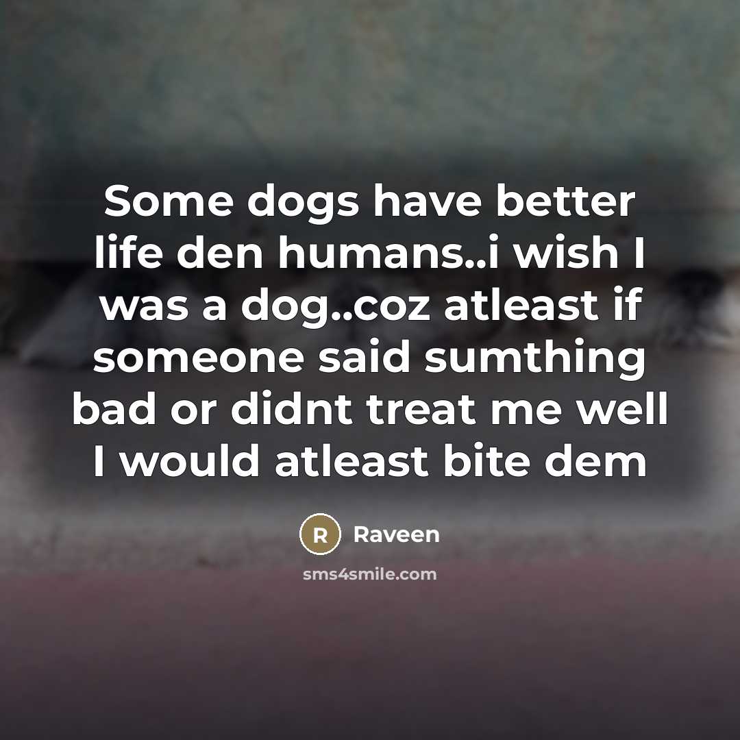 “Some dogs have better life den humans..i wish I was…” quote by Raveen