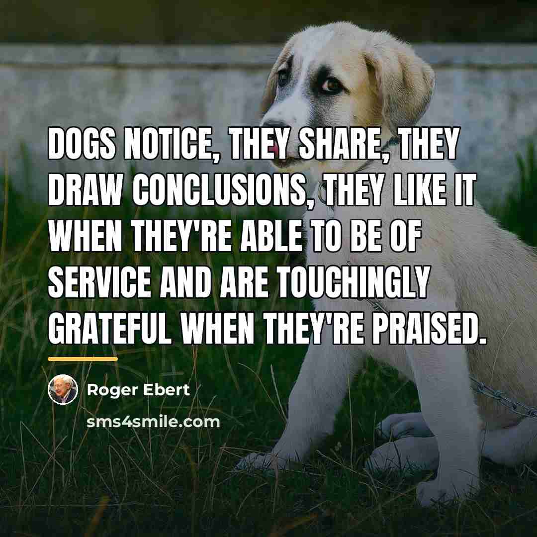 “Dogs notice, they share, they draw conclusions, they like it…” quote by Roger Ebert