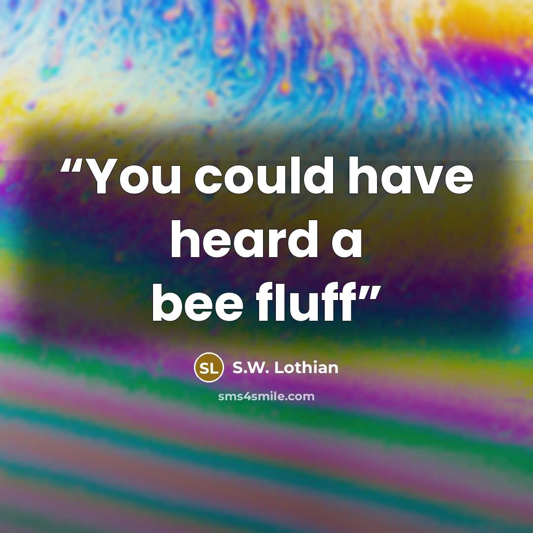 “You could have heard a bee fluff” quote by S.W. Lothian