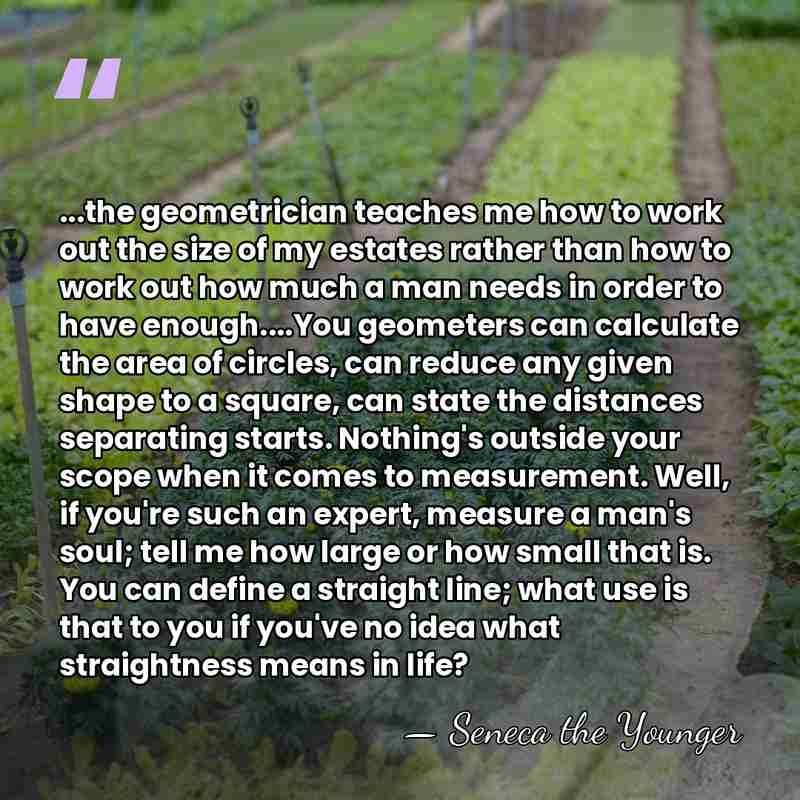 ...the geometrician teaches me how to work out the size of my&hellip; - Seneca the Younger