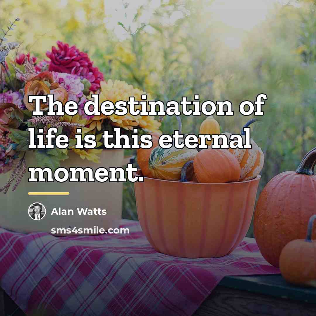 “The destination of life is this eternal moment.…” quote by Alan Watts