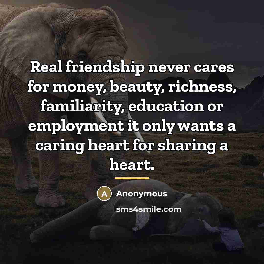 “Real friendship never cares for money, beauty, richness, familiarity, education…” quote by Anonymous