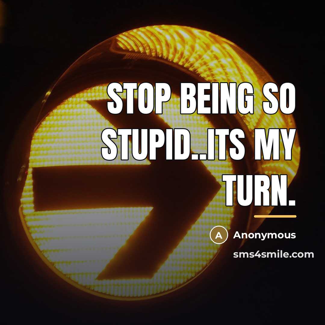 “Stop being so stupid..its my turn.…” quote by Anonymous
