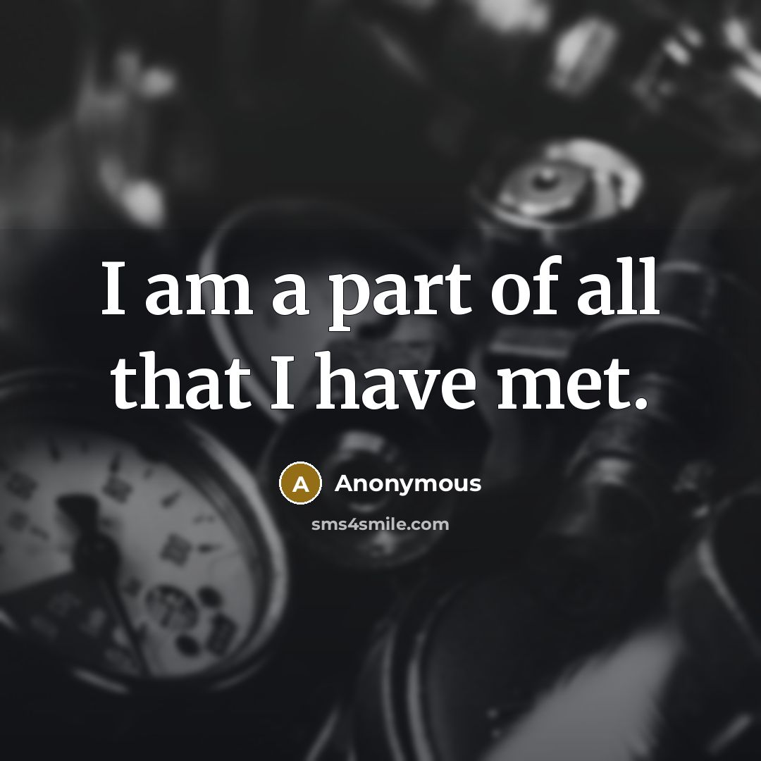 “I am a part of all that I have met.…” quote by Anonymous