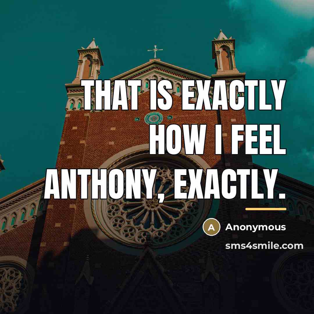 “That is exactly how I feel Anthony, exactly.…” quote by Anonymous