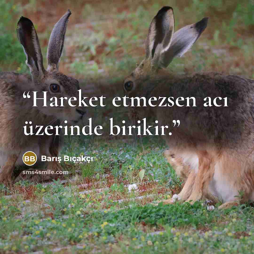 “Hareket etmezsen acı üzerinde birikir.” quote by Barış Bıçakçı