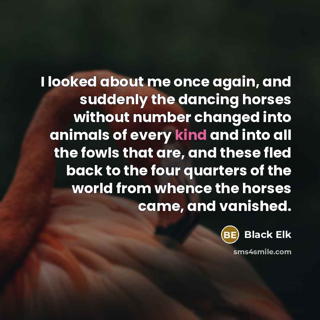 “I looked about me once again, and suddenly the dancing…” quote by Black Elk