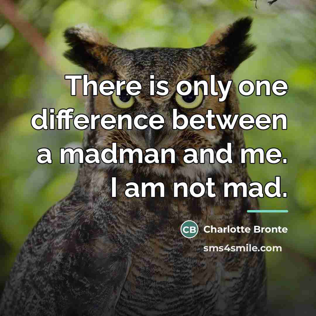 “There is only one difference between a madman and me.…” quote by Charlotte Bronte