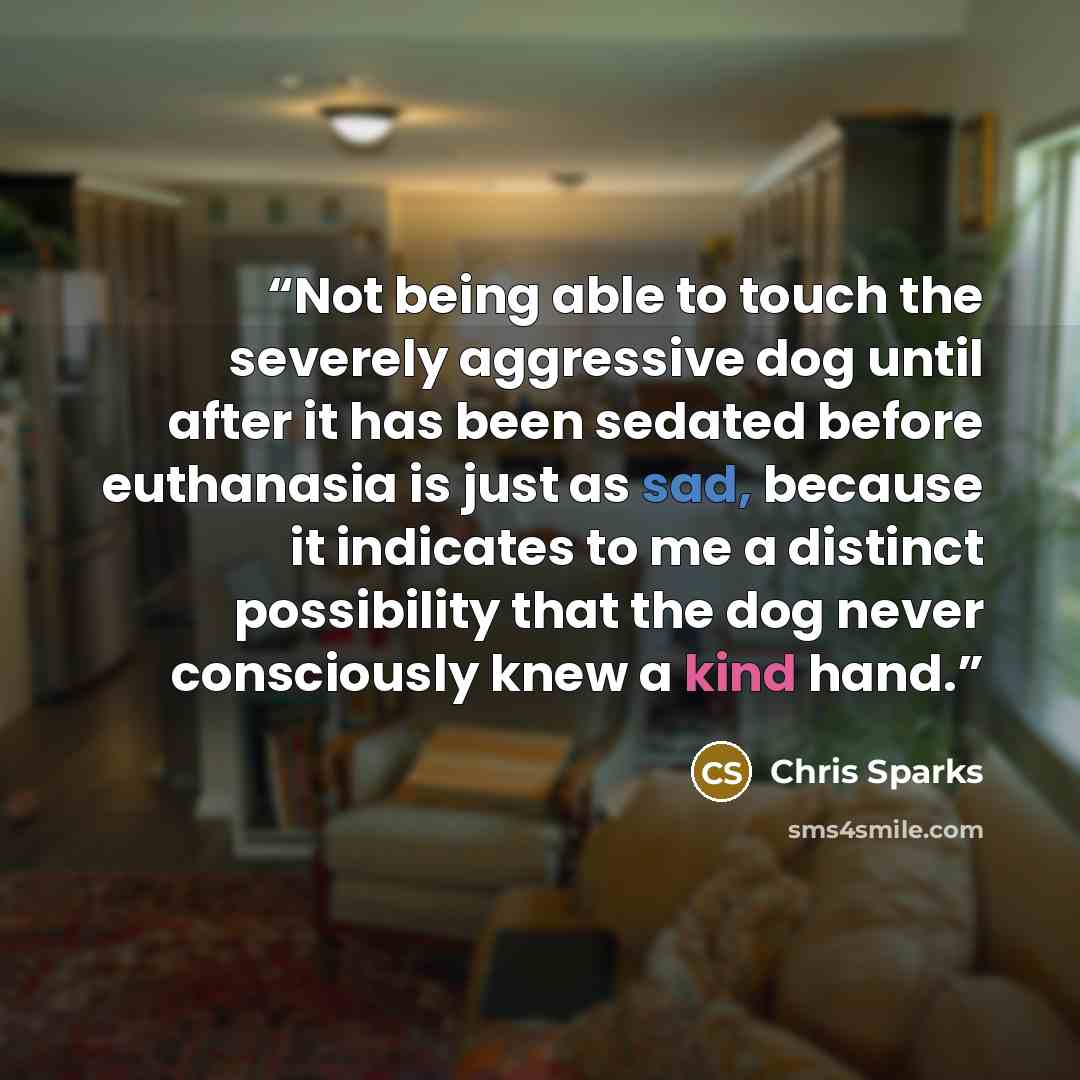 “Not being able to touch the severely aggressive dog until after it has been sedated before euthanasia is just as sad, because it indicates to me a distinct possibility that the dog never consciously knew a kind hand.” quote by Chris Sparks