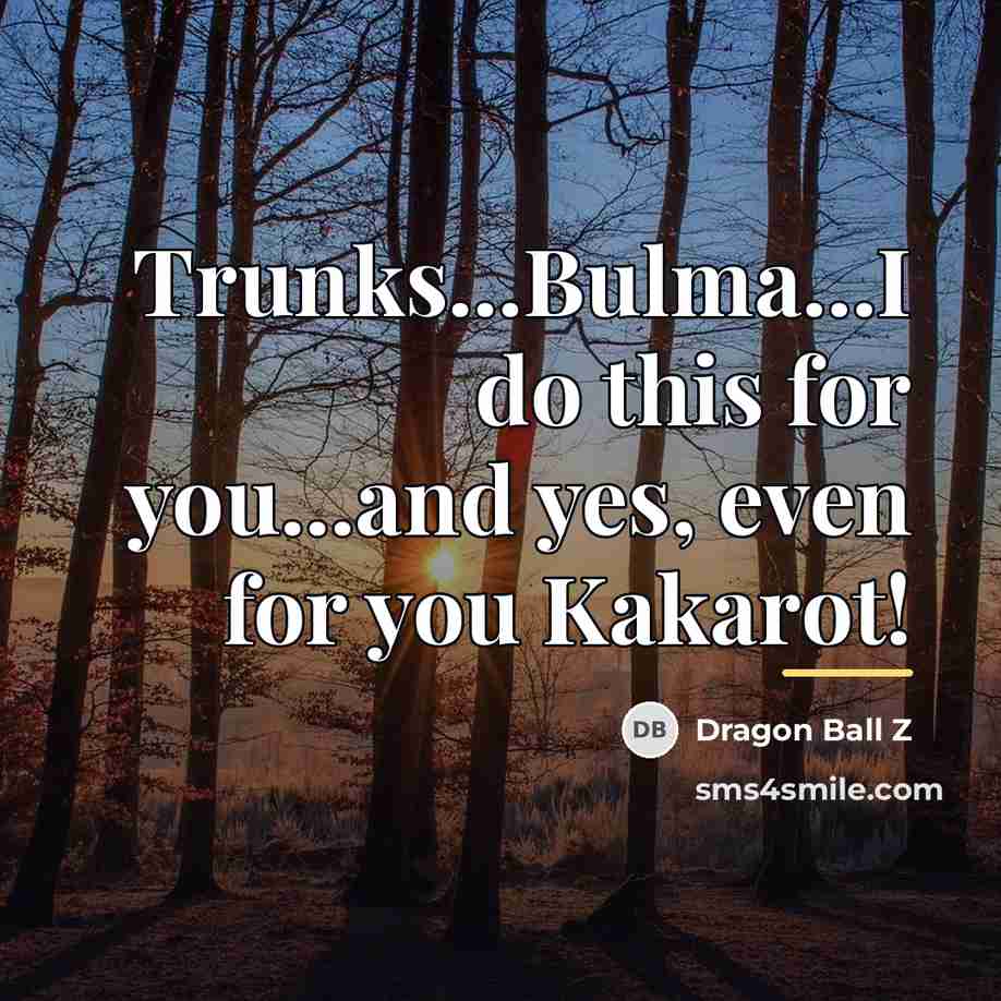 “Trunks...Bulma...I do this for you...and yes, even for you Kakarot!…” quote by Dragon Ball Z