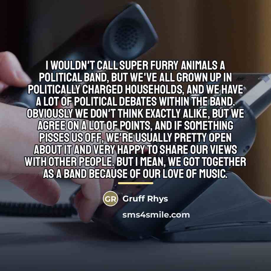 “I wouldn't call Super Furry Animals a political band, but…” quote by Gruff Rhys
