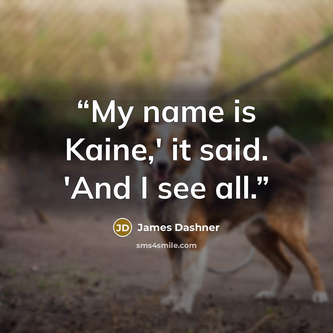 “My name is Kaine,' it said. 'And I see all.” quote by James Dashner