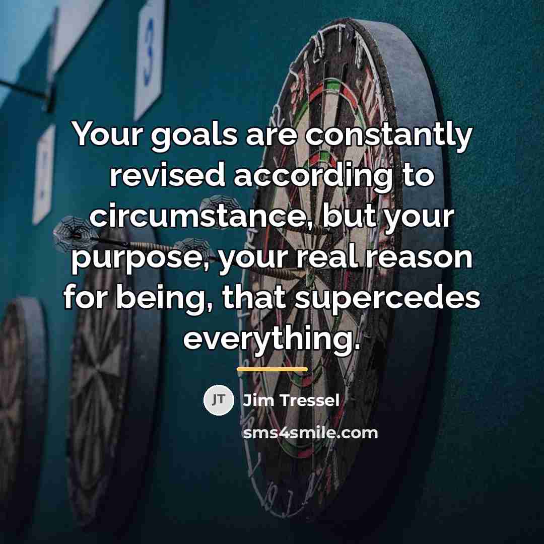 “Your goals are constantly revised according to circumstance, but your…” quote by Jim Tressel