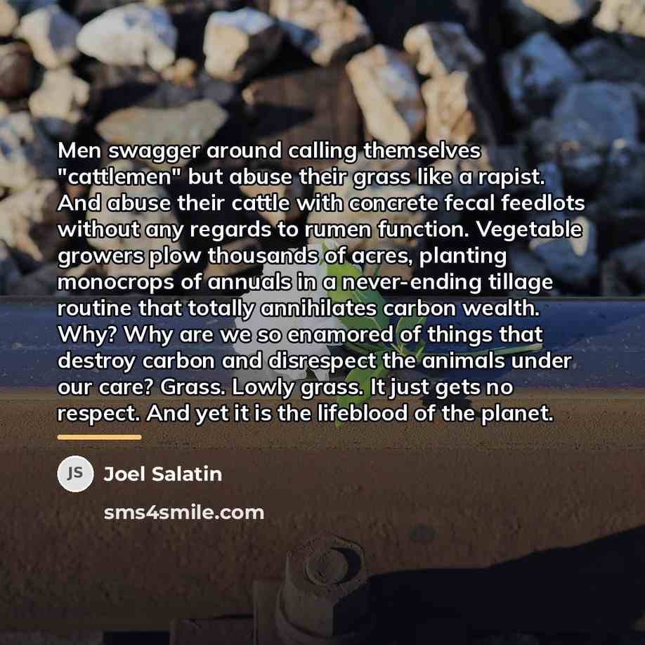 “Men swagger around calling themselves "cattlemen" but abuse their grass…” quote by Joel Salatin