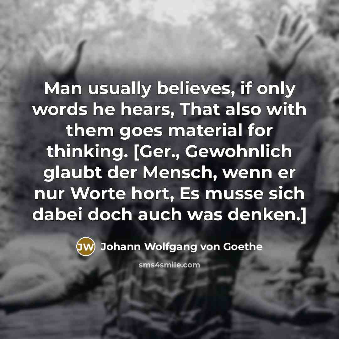 “Man usually believes, if only words he hears, That also…” quote by Johann Wolfgang von Goethe