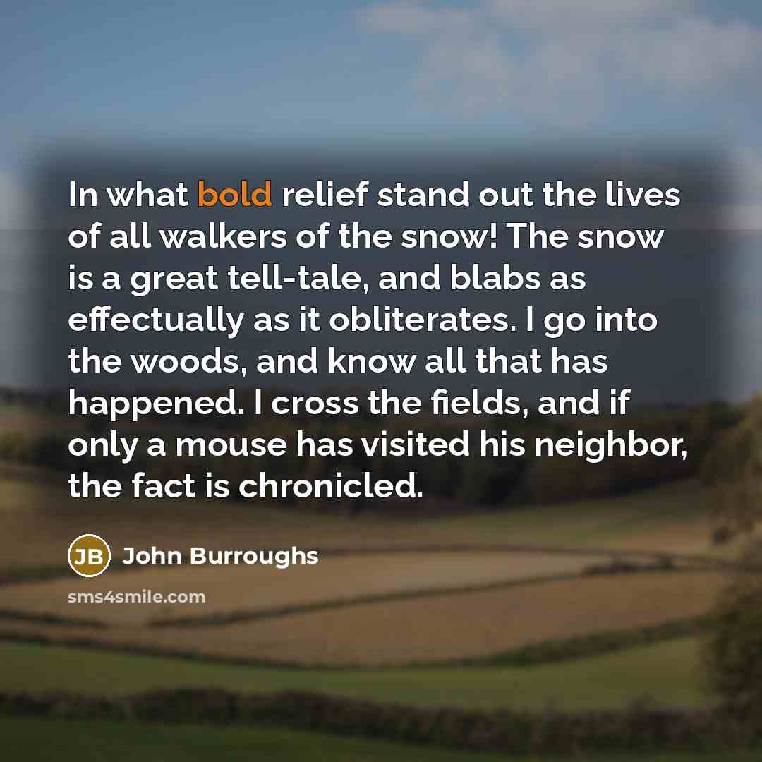 “In what bold relief stand out the lives of all…” quote by John Burroughs