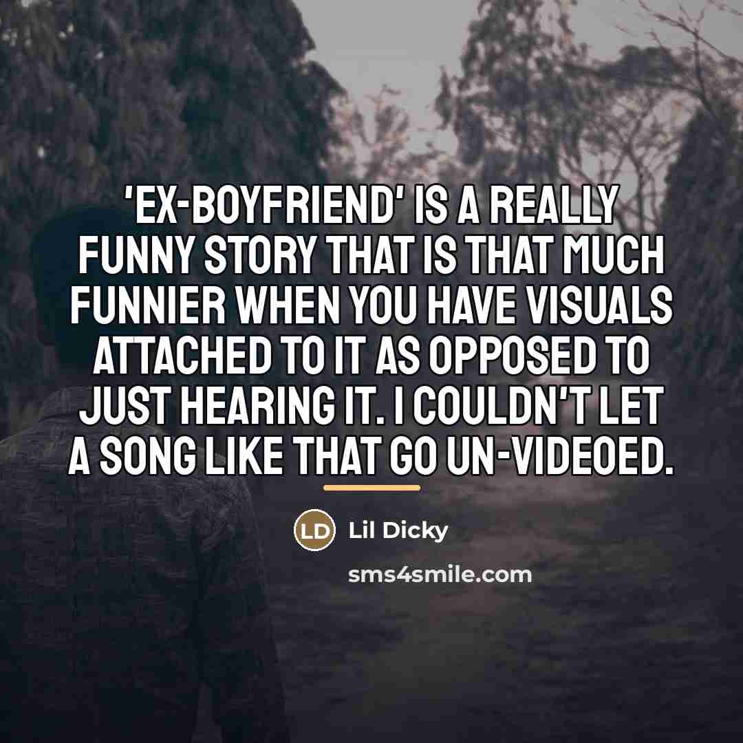 “'Ex-Boyfriend' is a really funny story that is that much…” quote by Lil Dicky