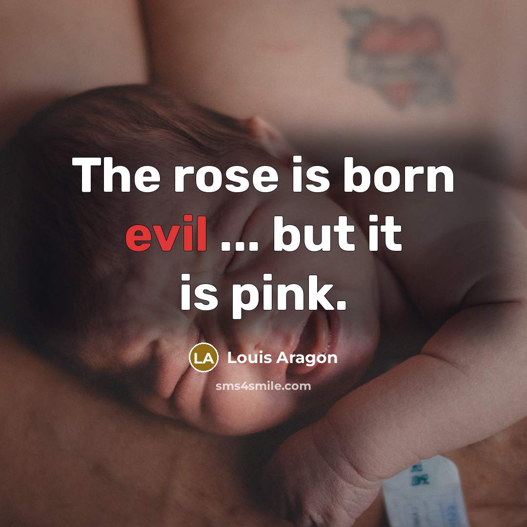 “The rose is born evil ... but it is pink.…” quote by Louis Aragon
