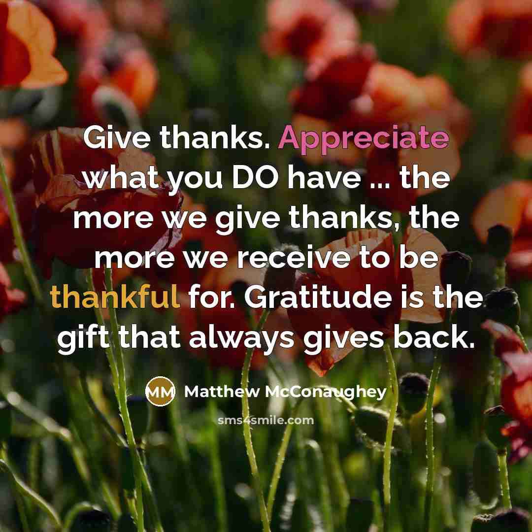“Give thanks. Appreciate what you DO have ... the more…” quote by Matthew McConaughey
