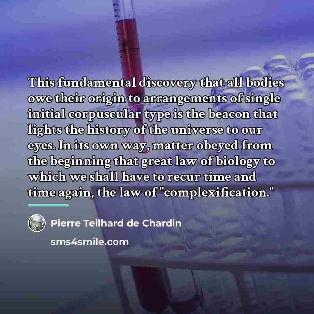 “This fundamental discovery that all bodies owe their origin to…” quote by Pierre Teilhard de Chardin