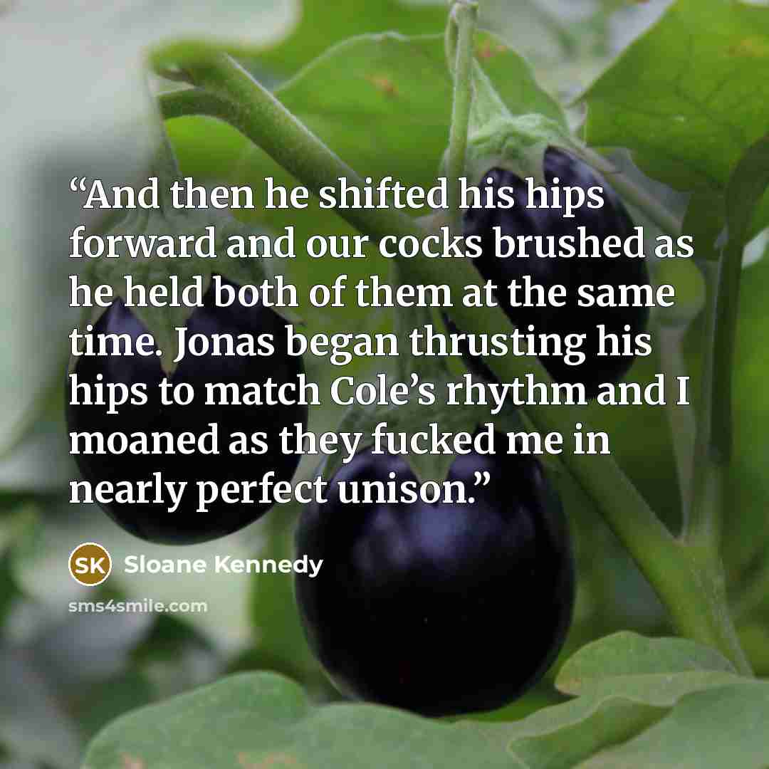 “And then he shifted his hips forward and our cocks brushed as he held both of them at the same time. Jonas began thrusting his hips to match Cole’s rhythm and I moaned as they fucked me in nearly perfect unison.” quote by Sloane Kennedy