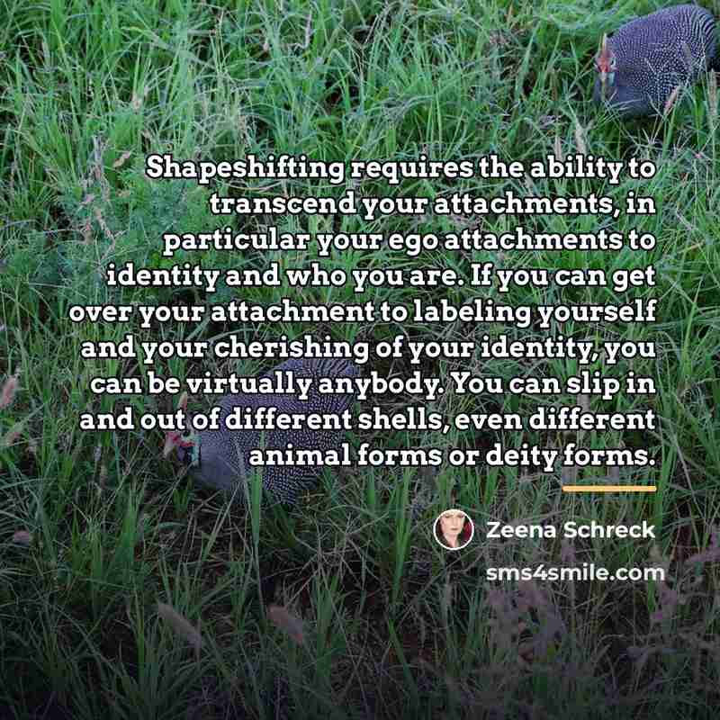 “Shapeshifting requires the ability to transcend your attachments, in particular…” quote by Zeena Schreck