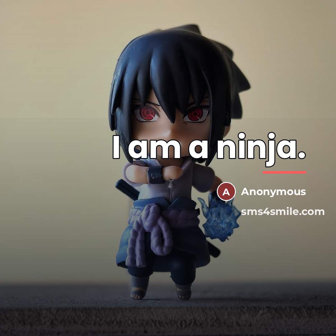 “I am a ninja.…” quote by Anonymous