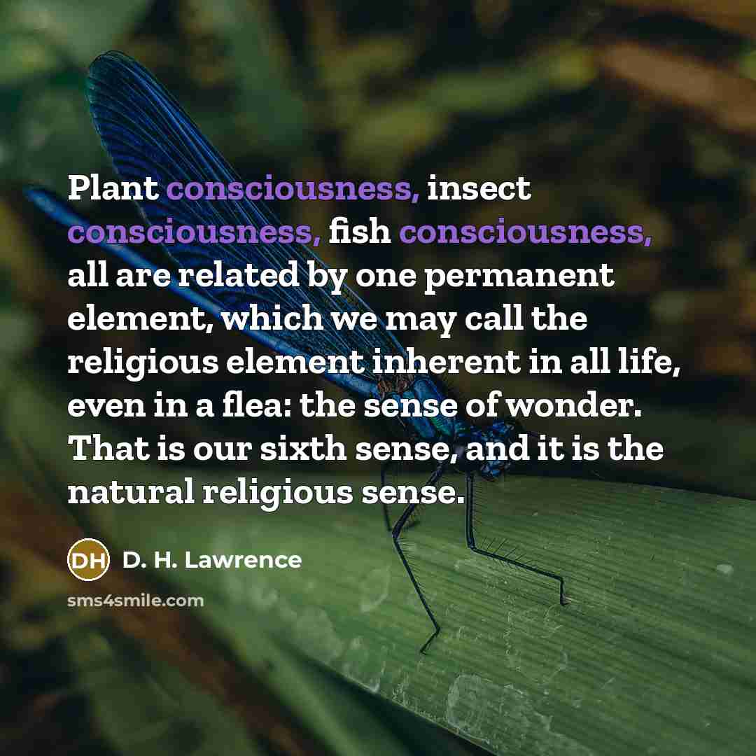 “Plant consciousness, insect consciousness, fish consciousness, all are related by…” quote by D. H. Lawrence