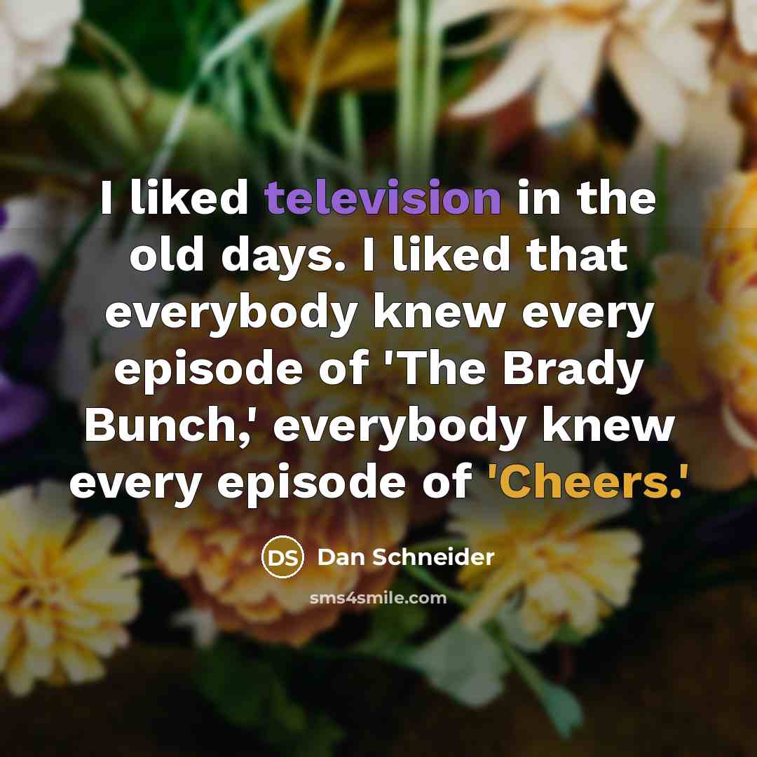 “I liked television in the old days. I liked that everybody knew every episode of 'The Brady Bunch,' everybody knew every episode of 'Cheers.'” quote by Dan Schneider