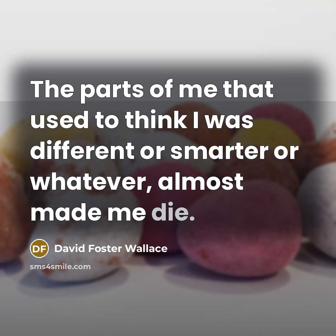 “The parts of me that used to think I was…” quote by David Foster Wallace