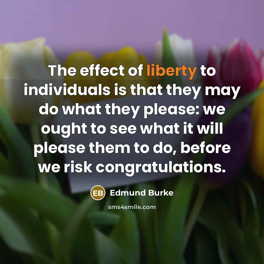 “The effect of liberty to individuals is that they may…” quote by Edmund Burke