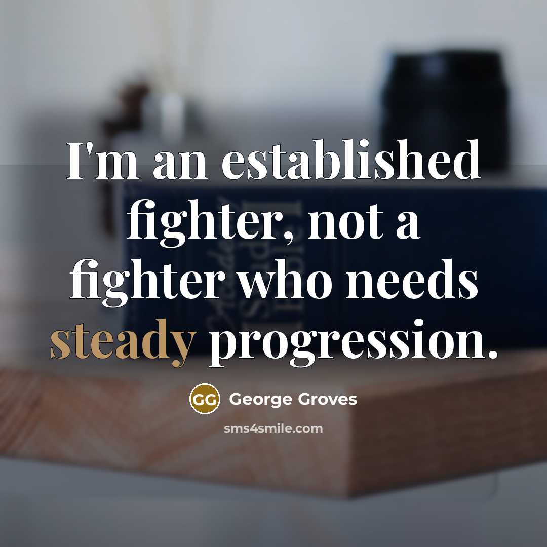“I'm an established fighter, not a fighter who needs steady…” quote by George Groves